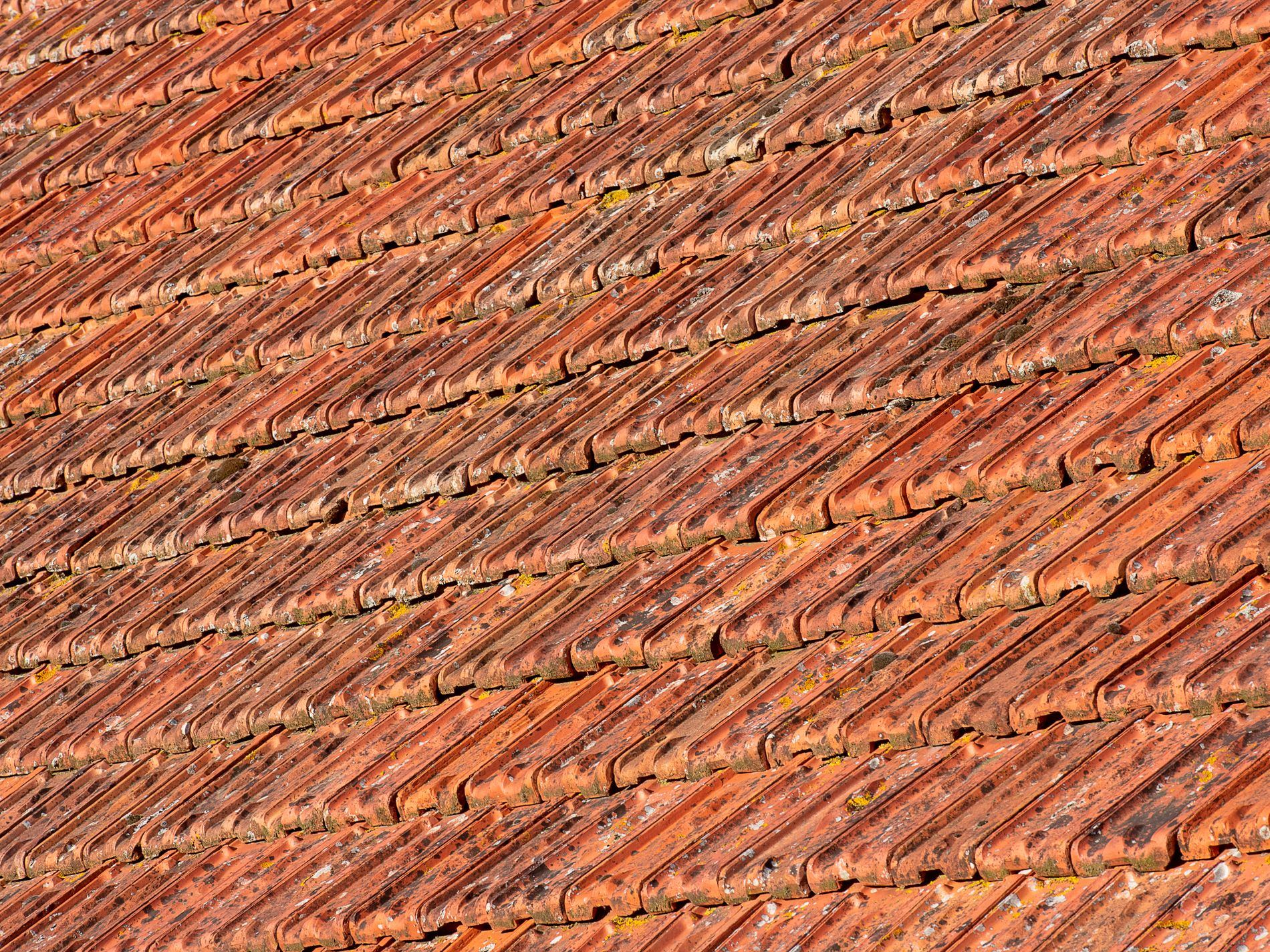 Close-up of weathered terracotta roof tiles.